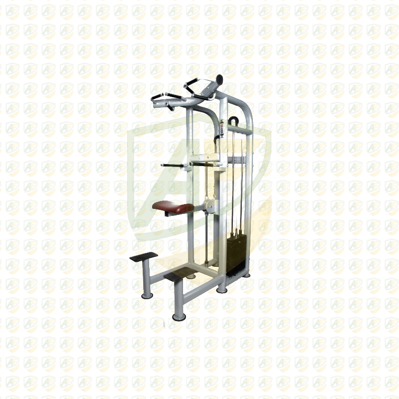 ASSISTED CHIN UP/DIP (AFGS 609)
